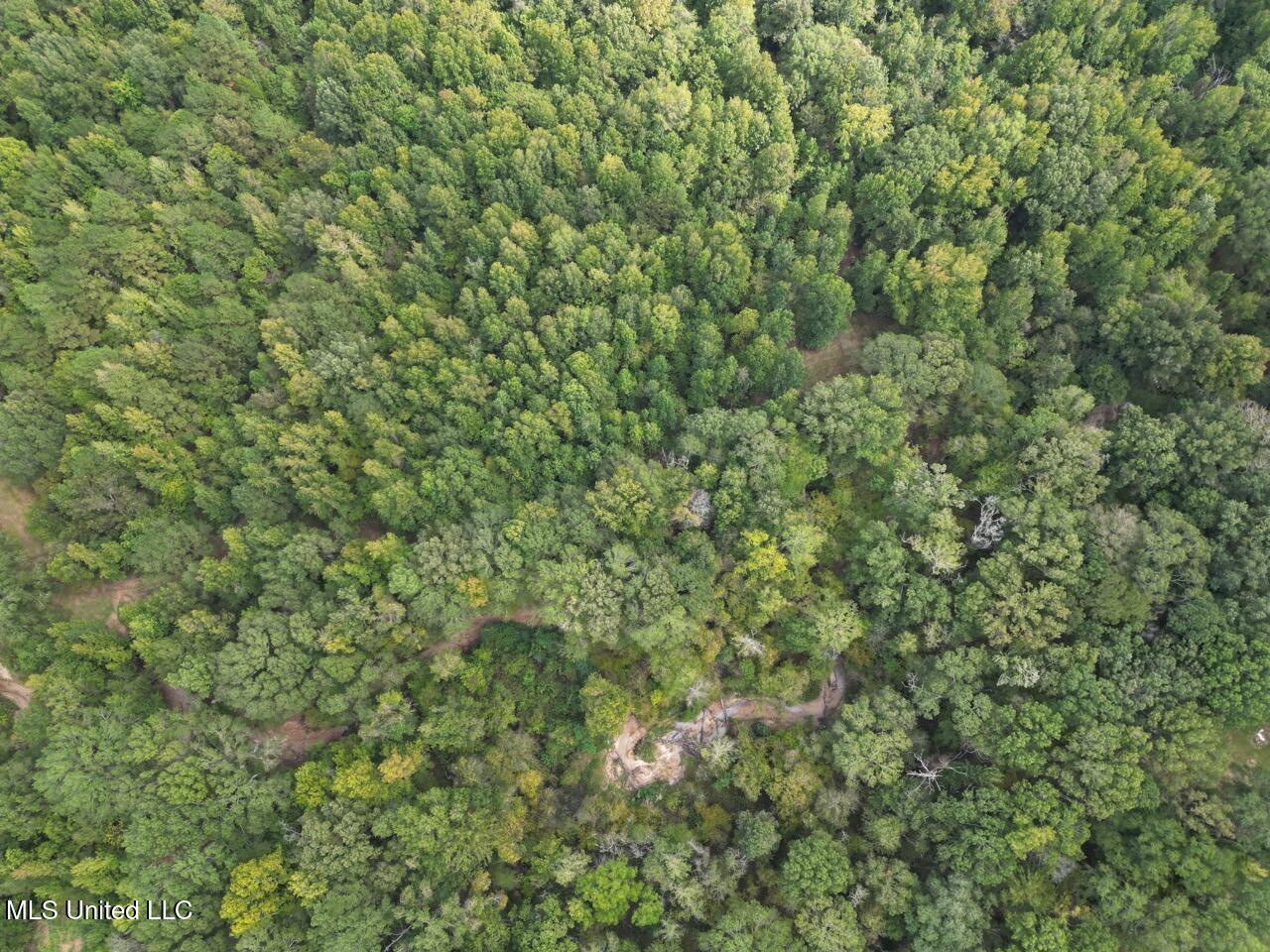 9200 Sawmill Road Property Photo 15