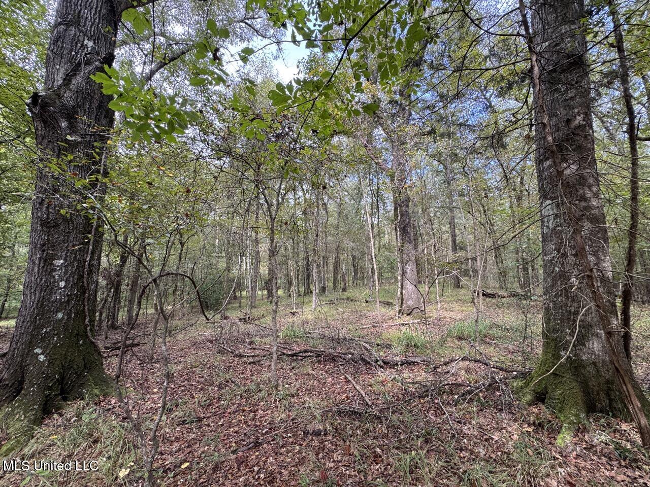 9200 Sawmill Road Property Photo 16