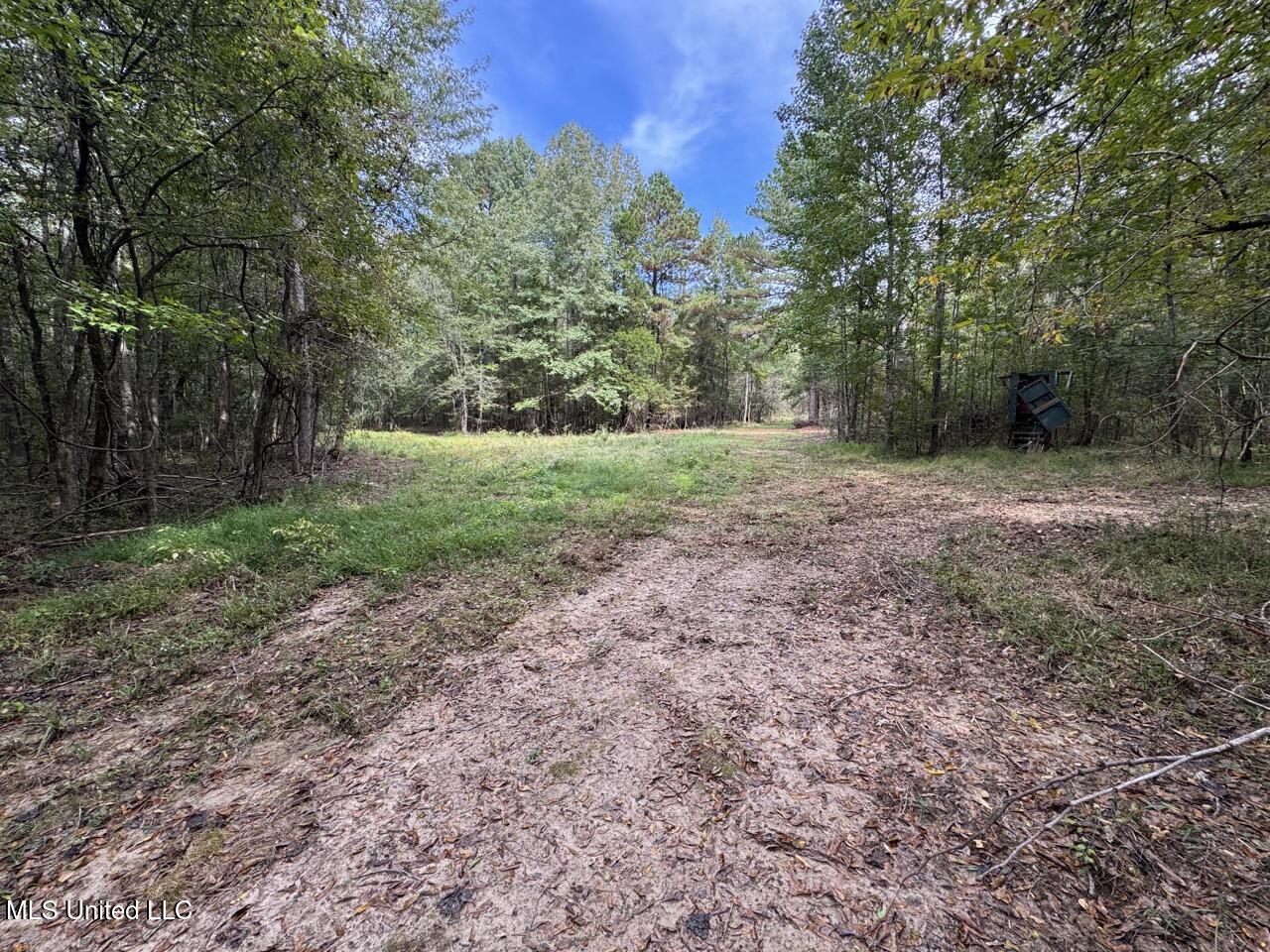 9200 Sawmill Road Property Photo 19