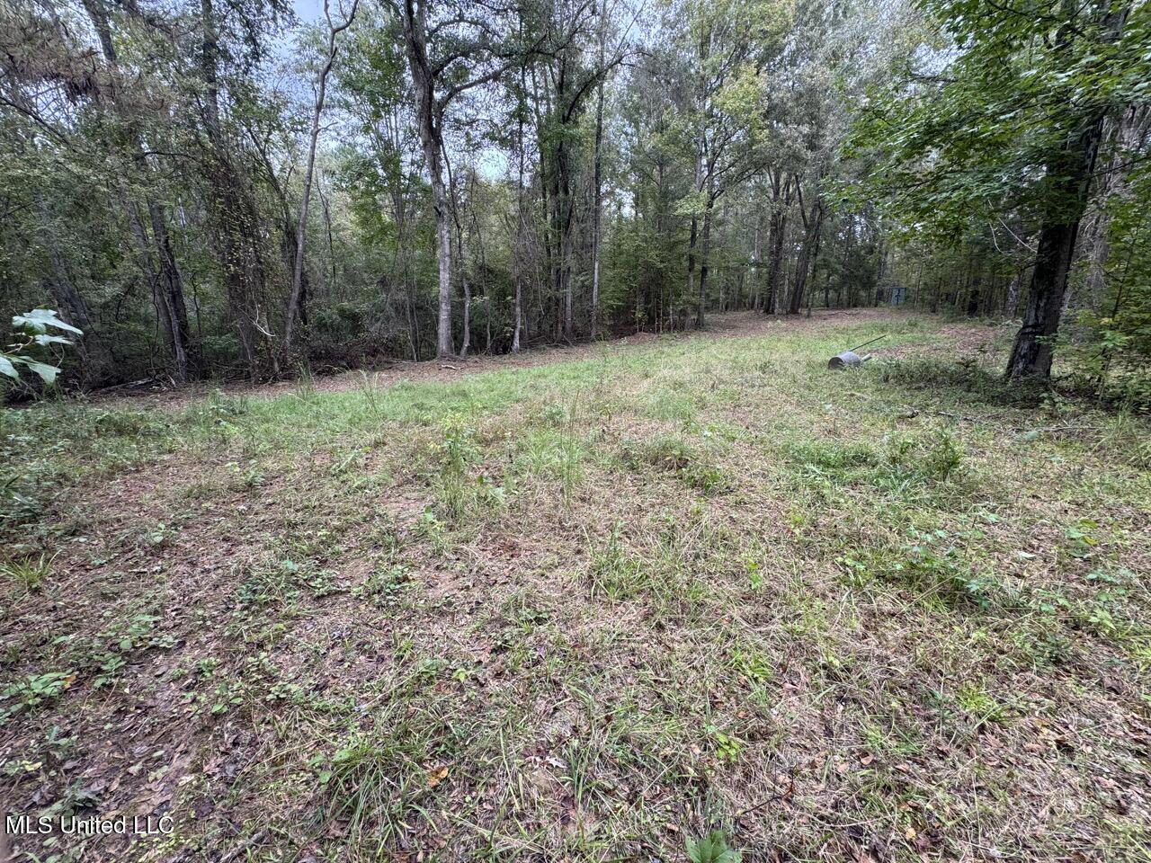 9200 Sawmill Road Property Photo 20