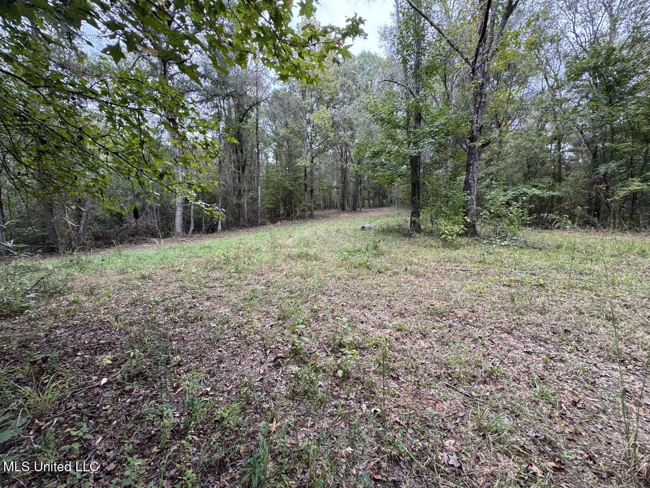 9200 Sawmill Road Property Photo 21