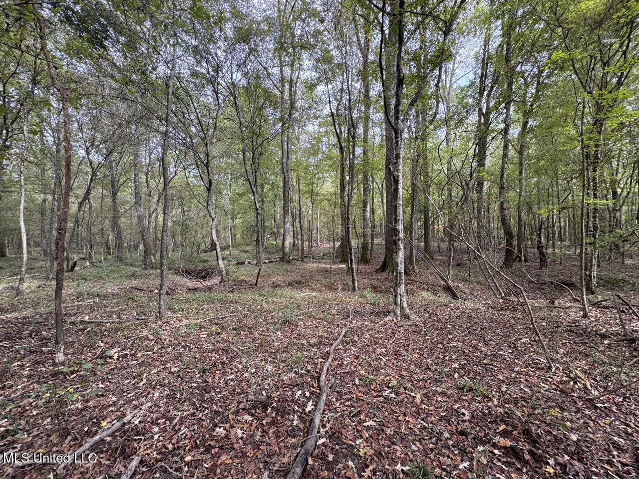 9200 Sawmill Road Property Photo 24