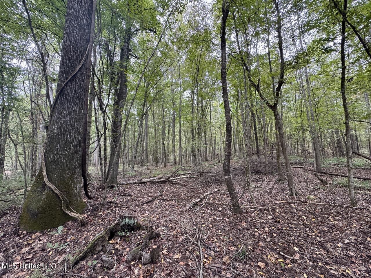 9200 Sawmill Road Property Photo 25