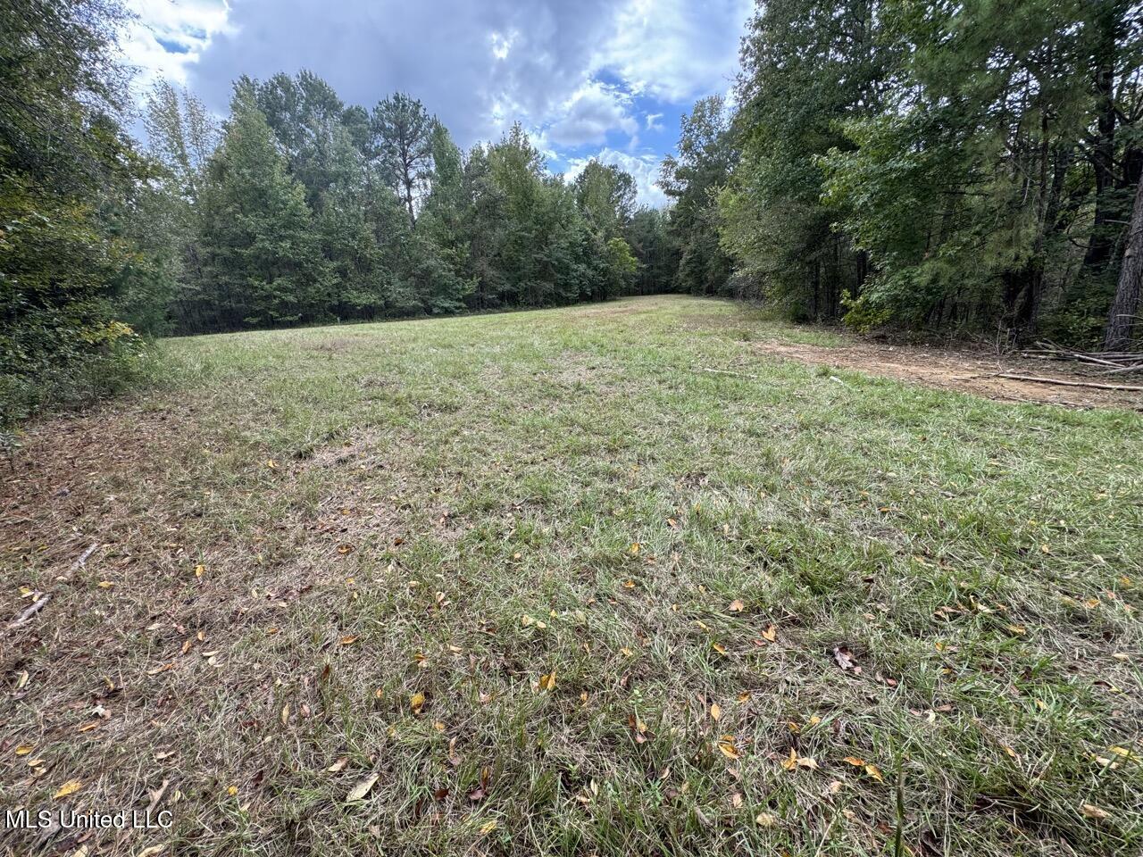 9200 Sawmill Road Property Photo 26