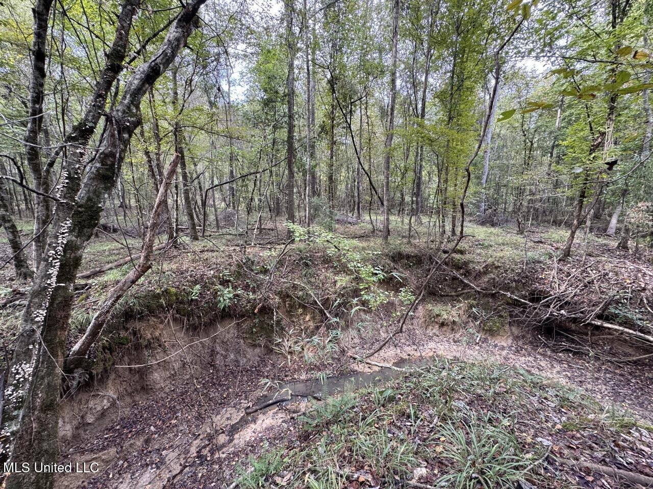 9200 Sawmill Road Property Photo 28