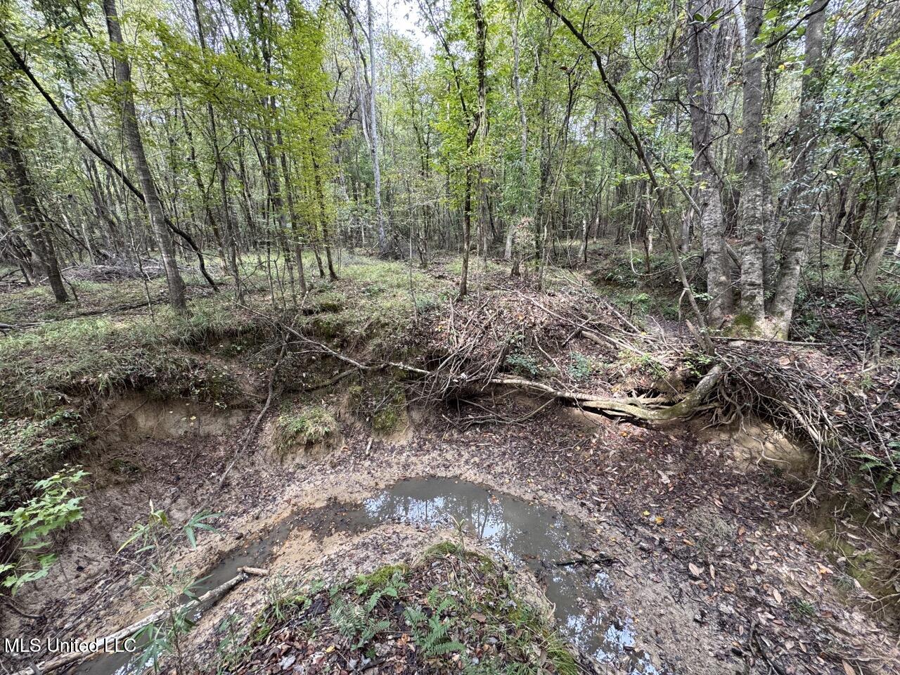 9200 Sawmill Road Property Photo 29