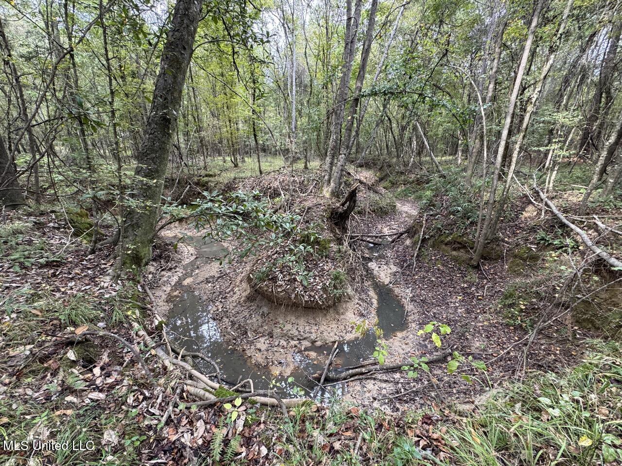 9200 Sawmill Road Property Photo 30