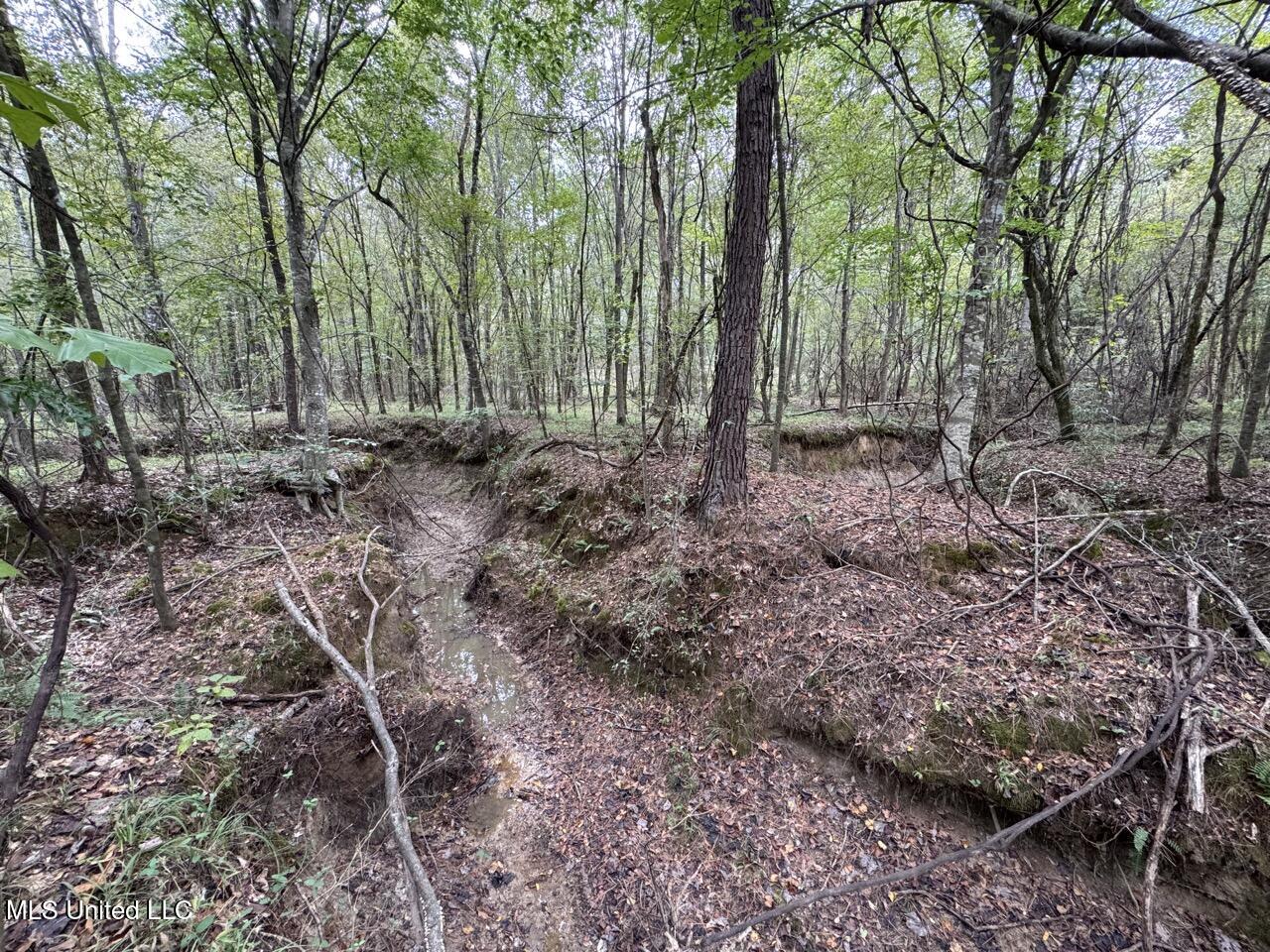 9200 Sawmill Road Property Photo 31