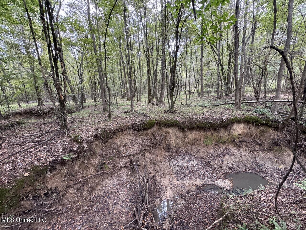 9200 Sawmill Road Property Photo 32