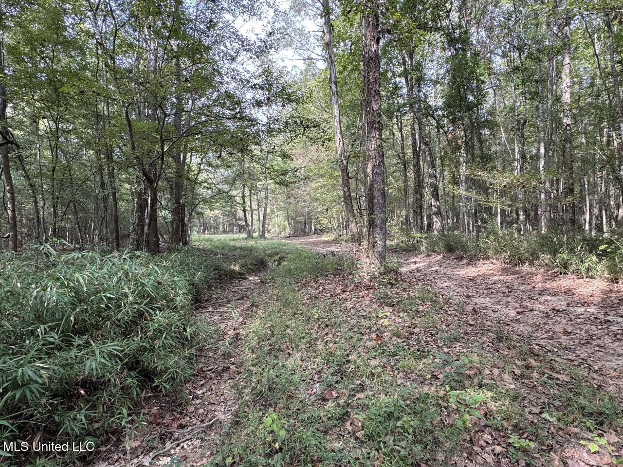 9200 Sawmill Road Property Photo 33