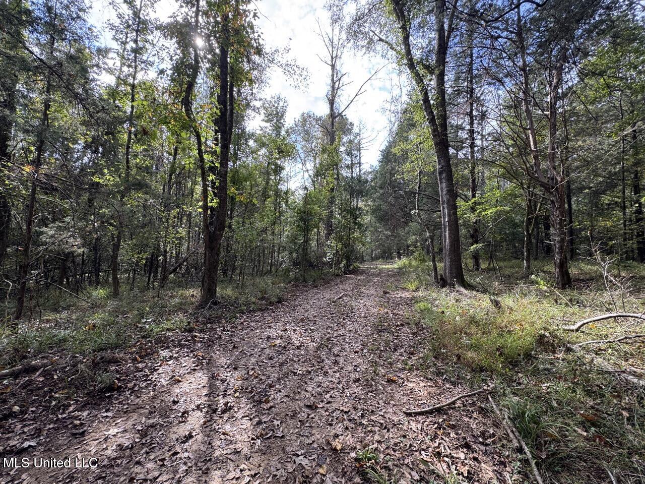 9200 Sawmill Road Property Photo 34