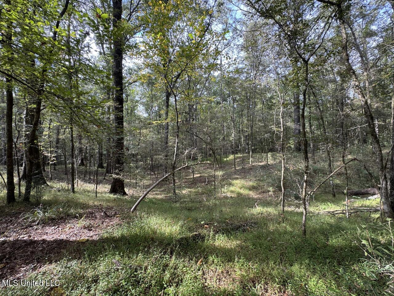 9200 Sawmill Road Property Photo 36