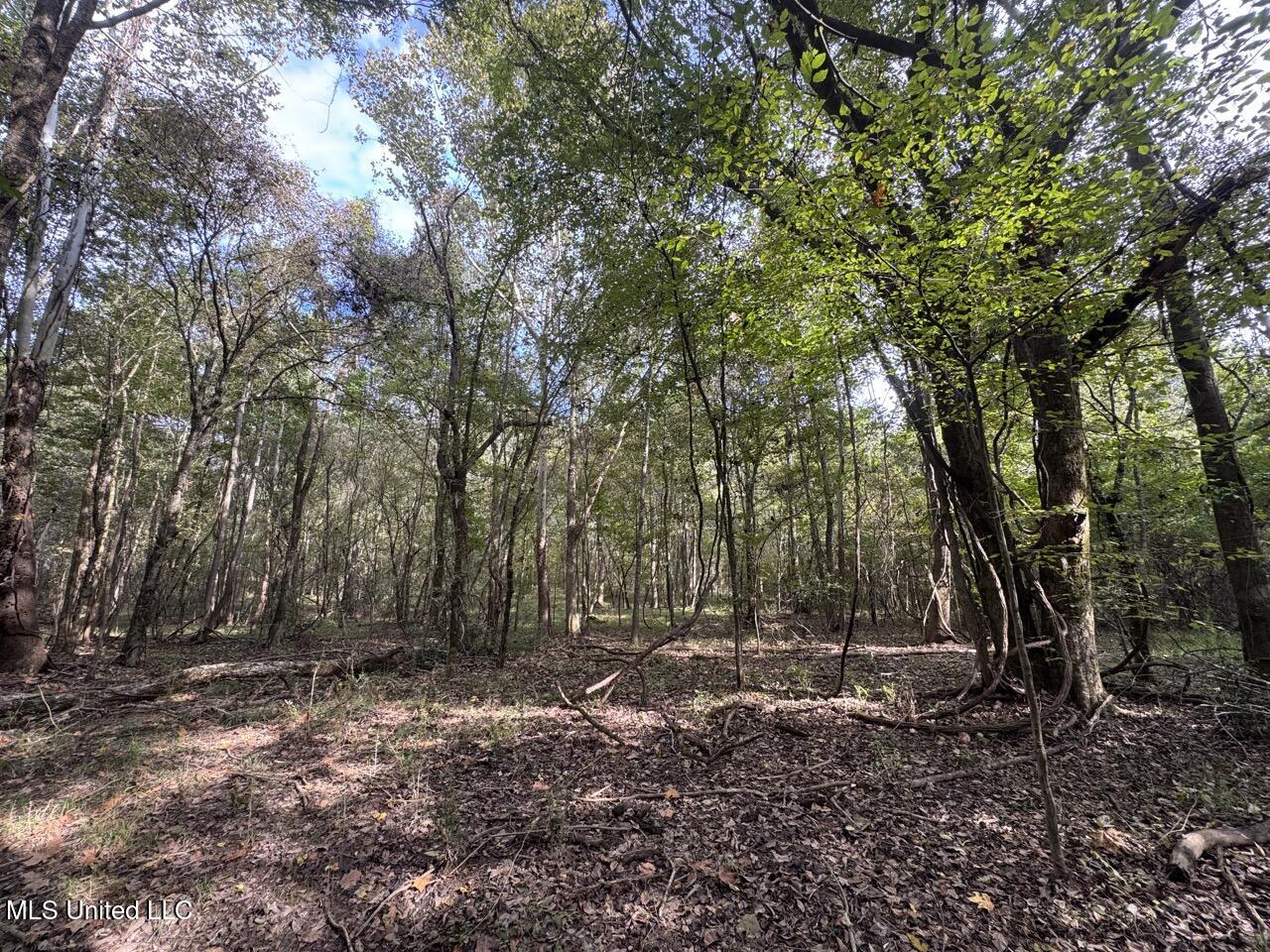 9200 Sawmill Road Property Photo 37