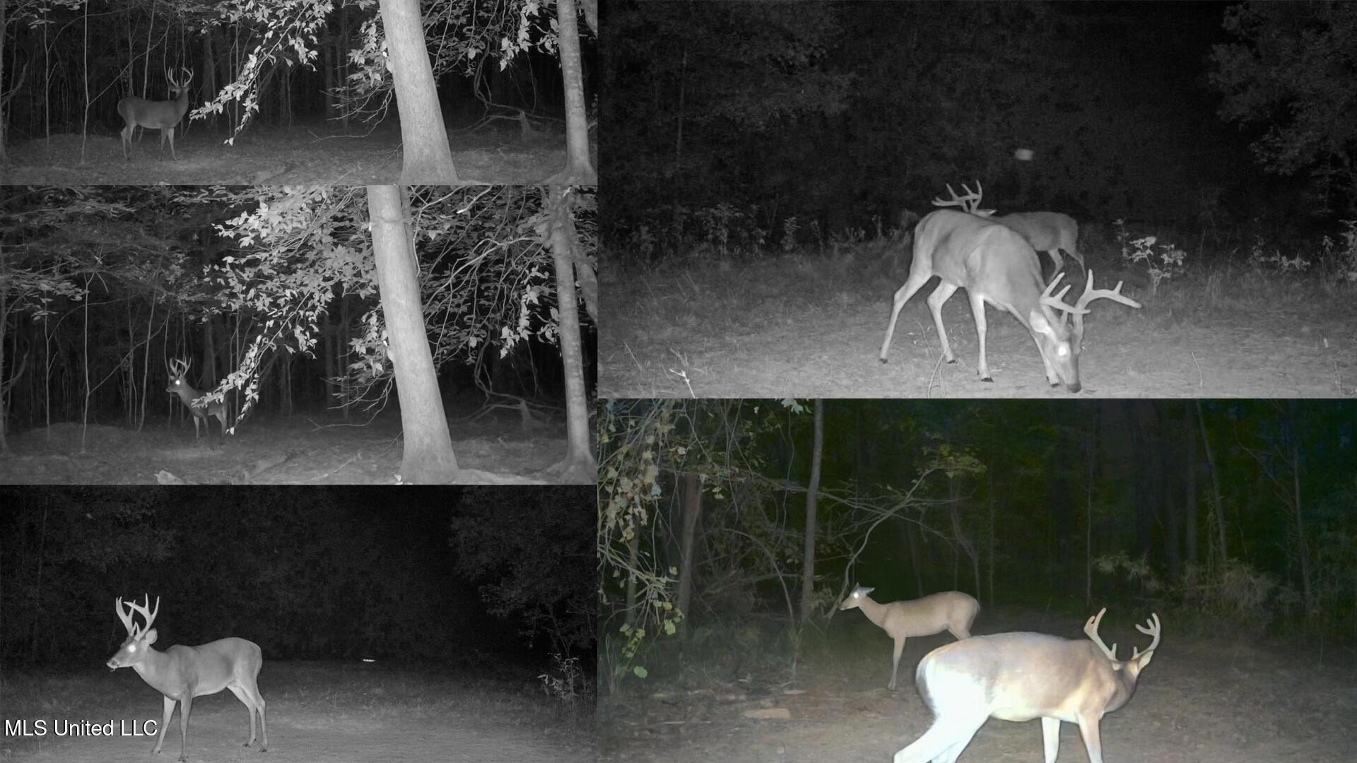 9200 Sawmill Road Property Photo 40