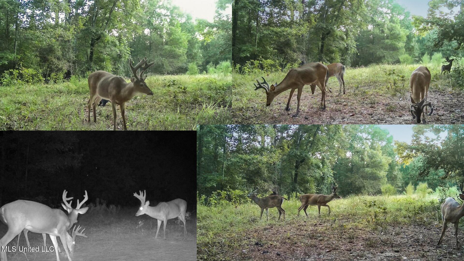 9200 Sawmill Road Property Photo 41