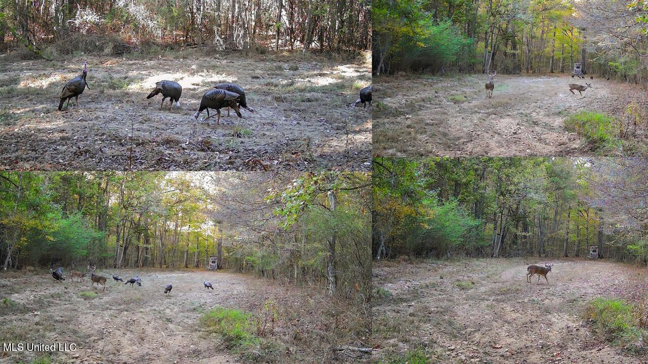 9200 Sawmill Road Property Photo 42