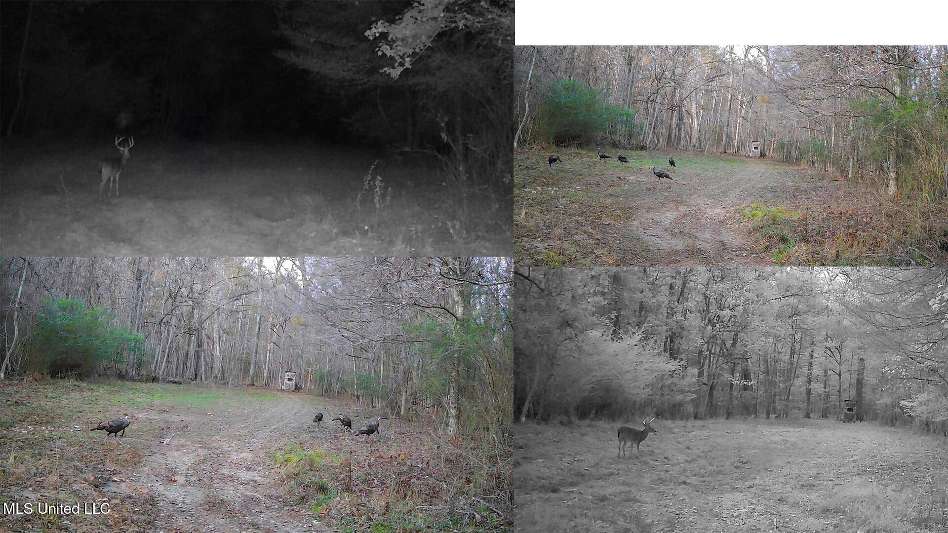 9200 Sawmill Road Property Photo 43