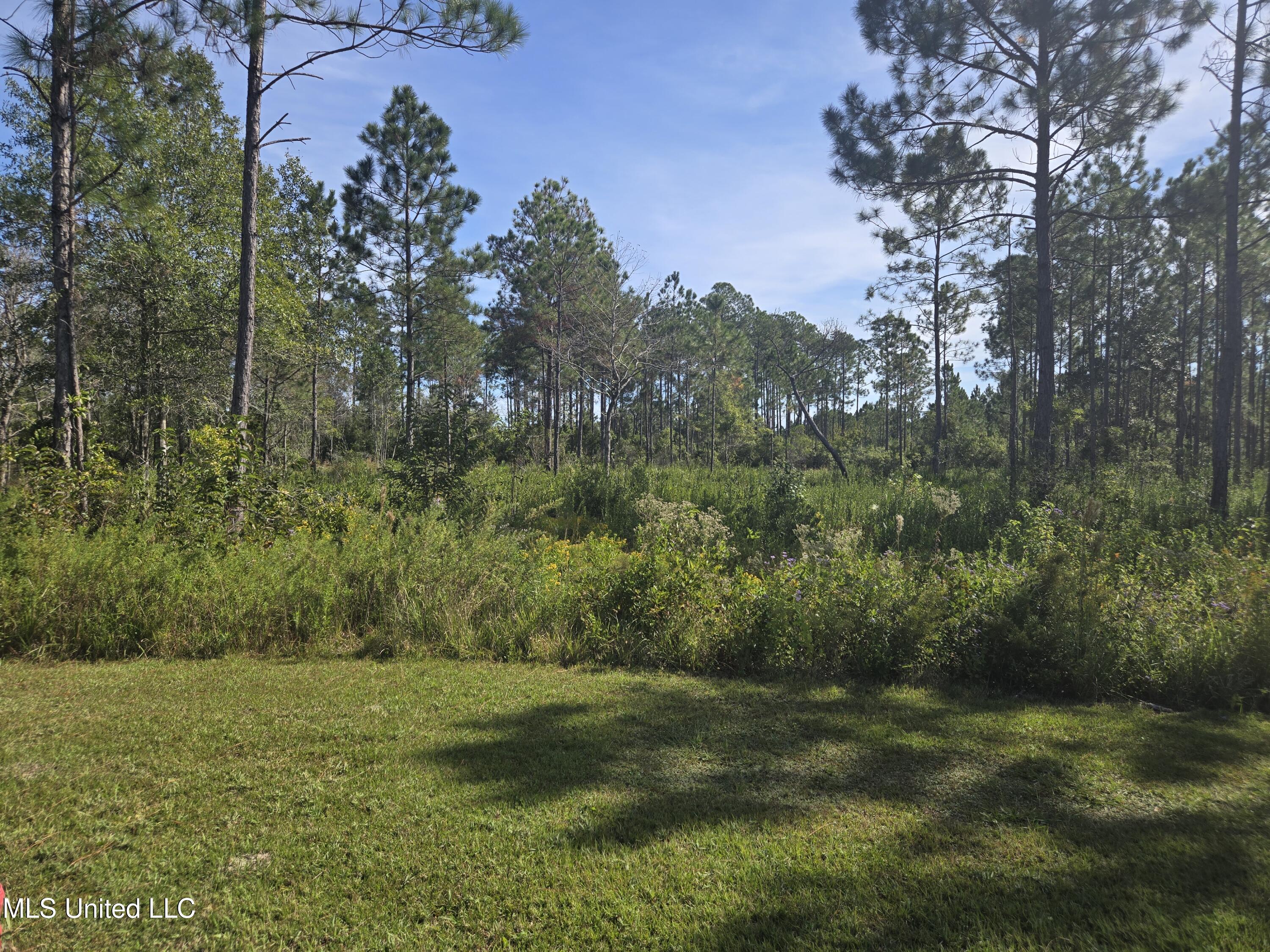 Pinehaven Drive Property Photo 2