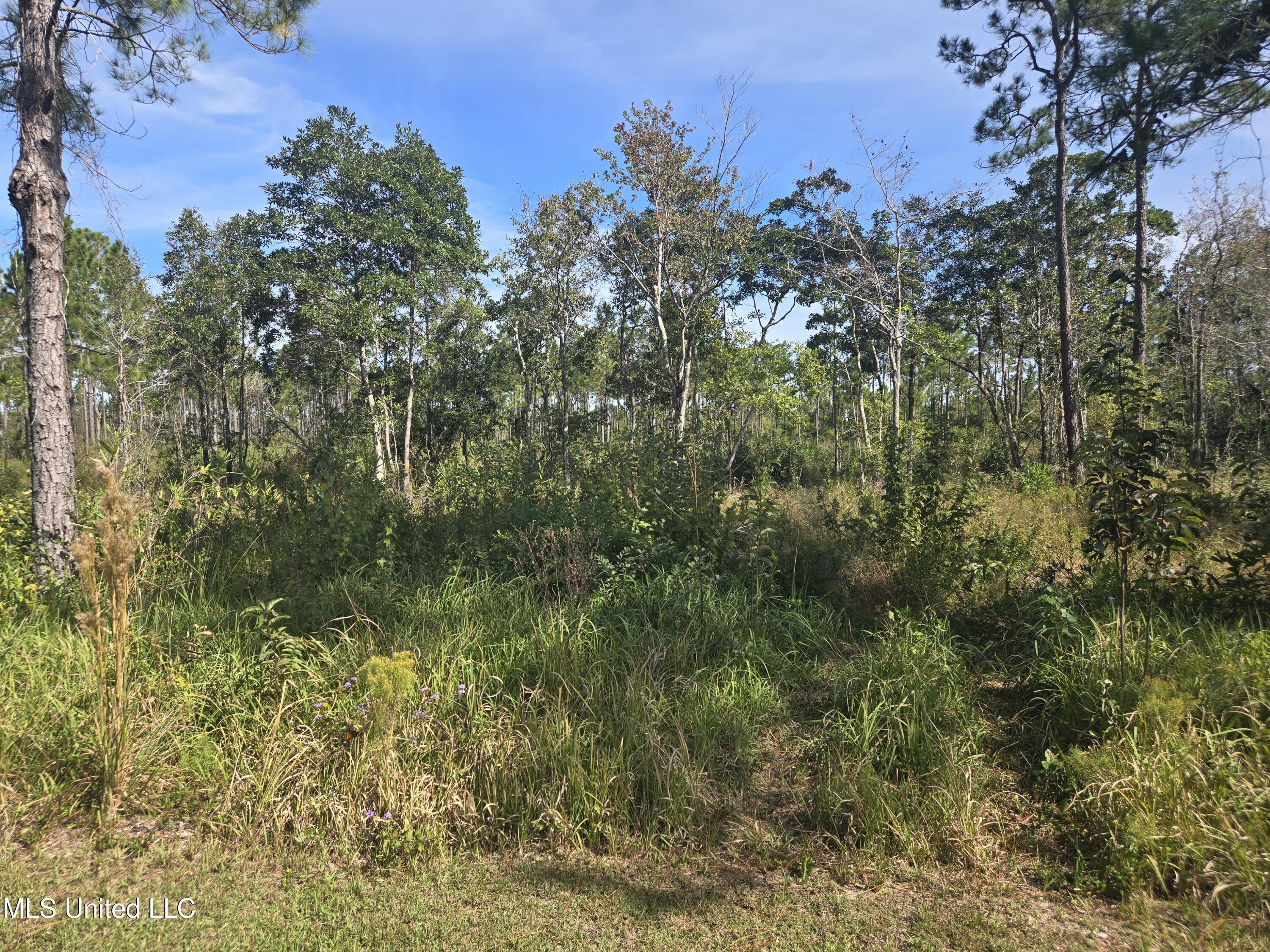 Pinehaven Drive Property Photo 3