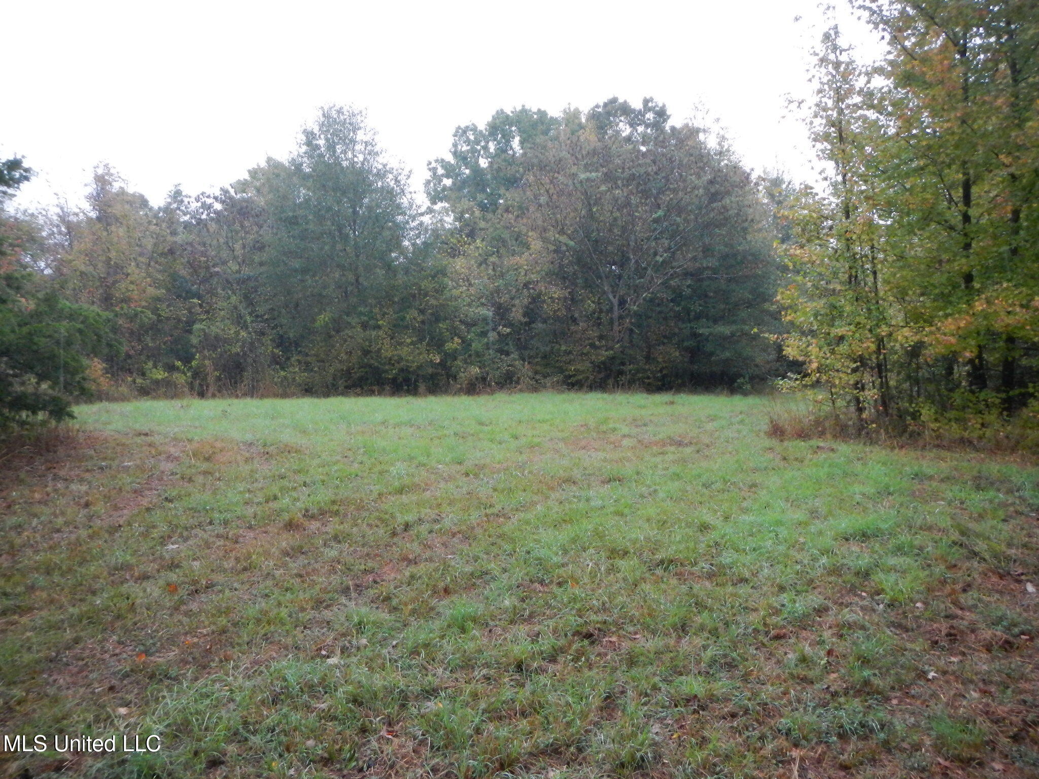 6977 Holly Grove-meeks Road Property Photo 3