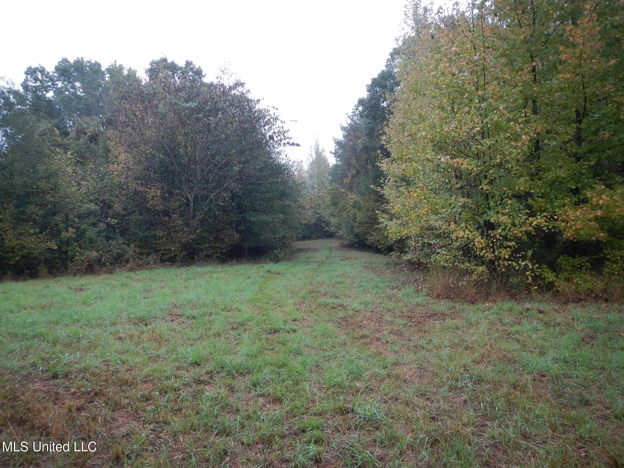 6977 Holly Grove-meeks Road Property Photo 4