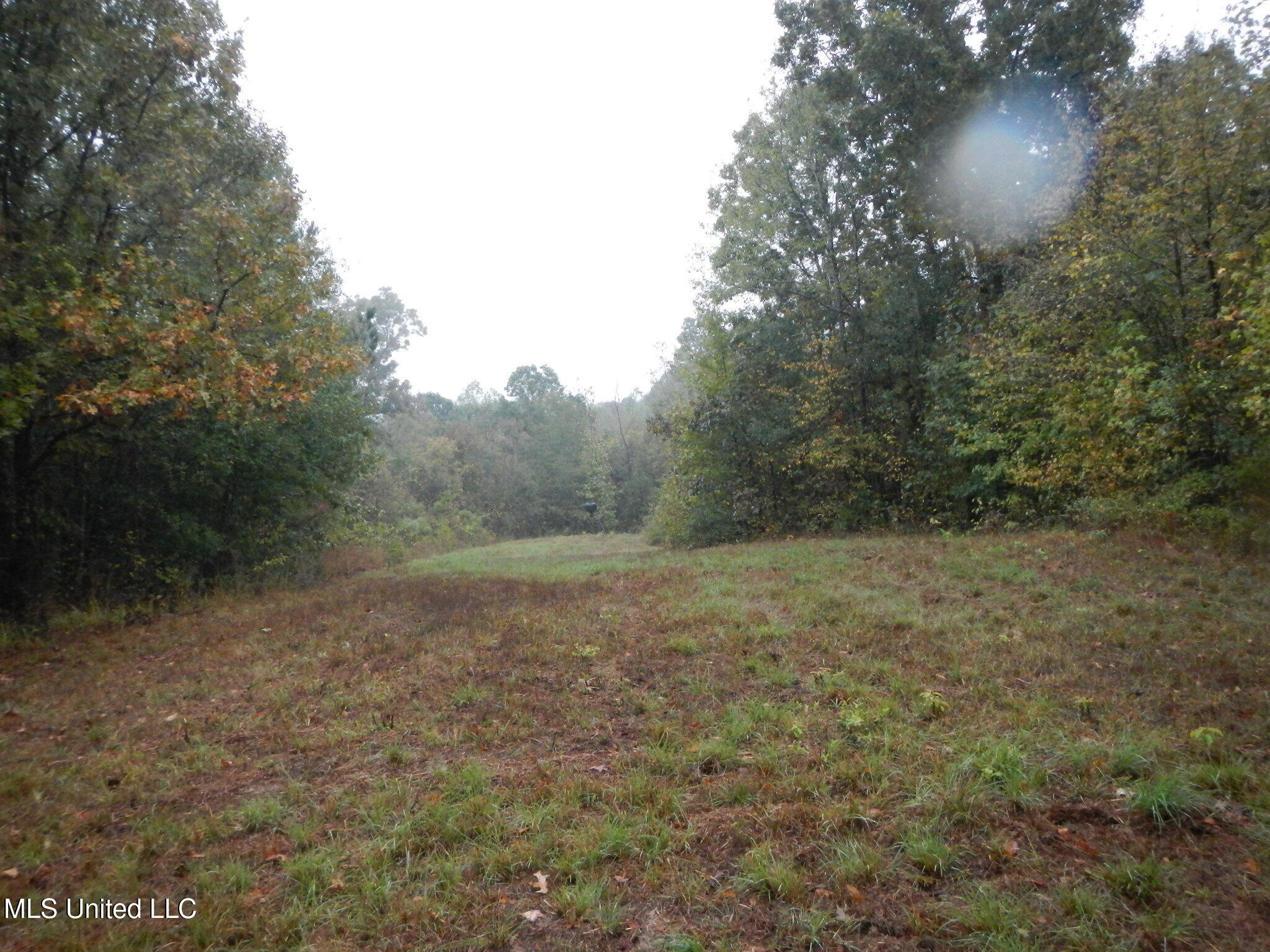 6977 Holly Grove-meeks Road Property Photo 6