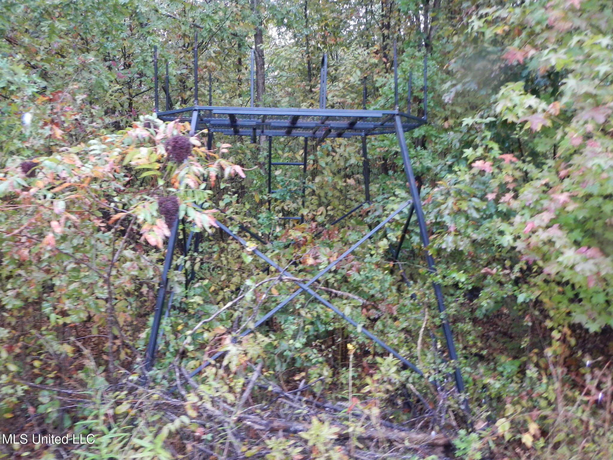 6977 Holly Grove-meeks Road Property Photo 7