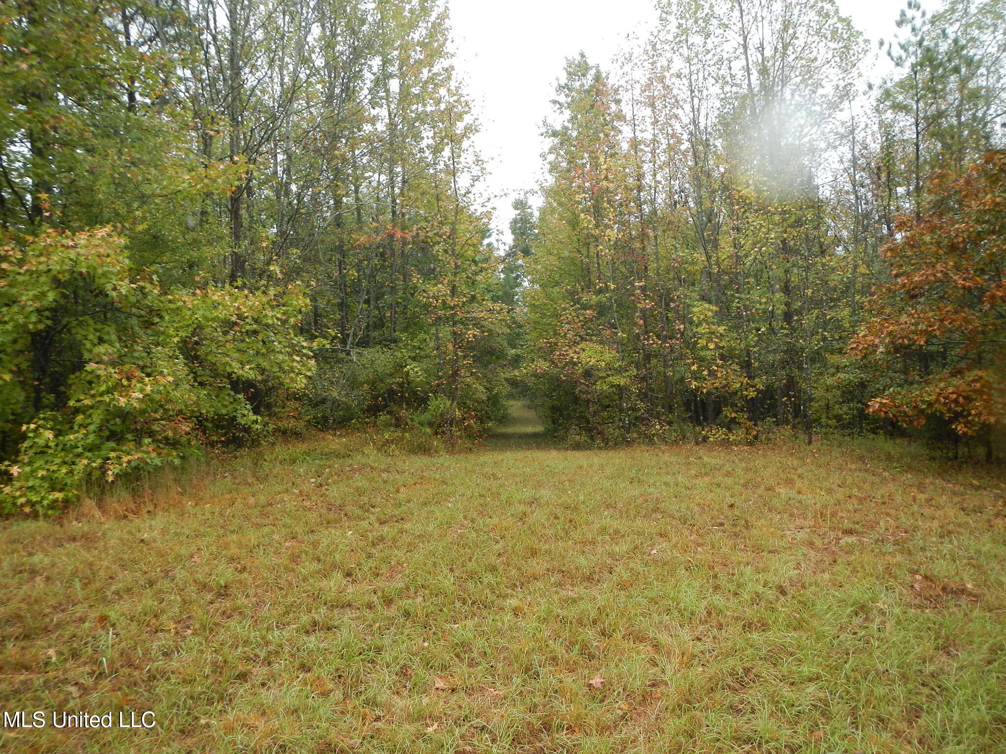 6977 Holly Grove-meeks Road Property Photo 9