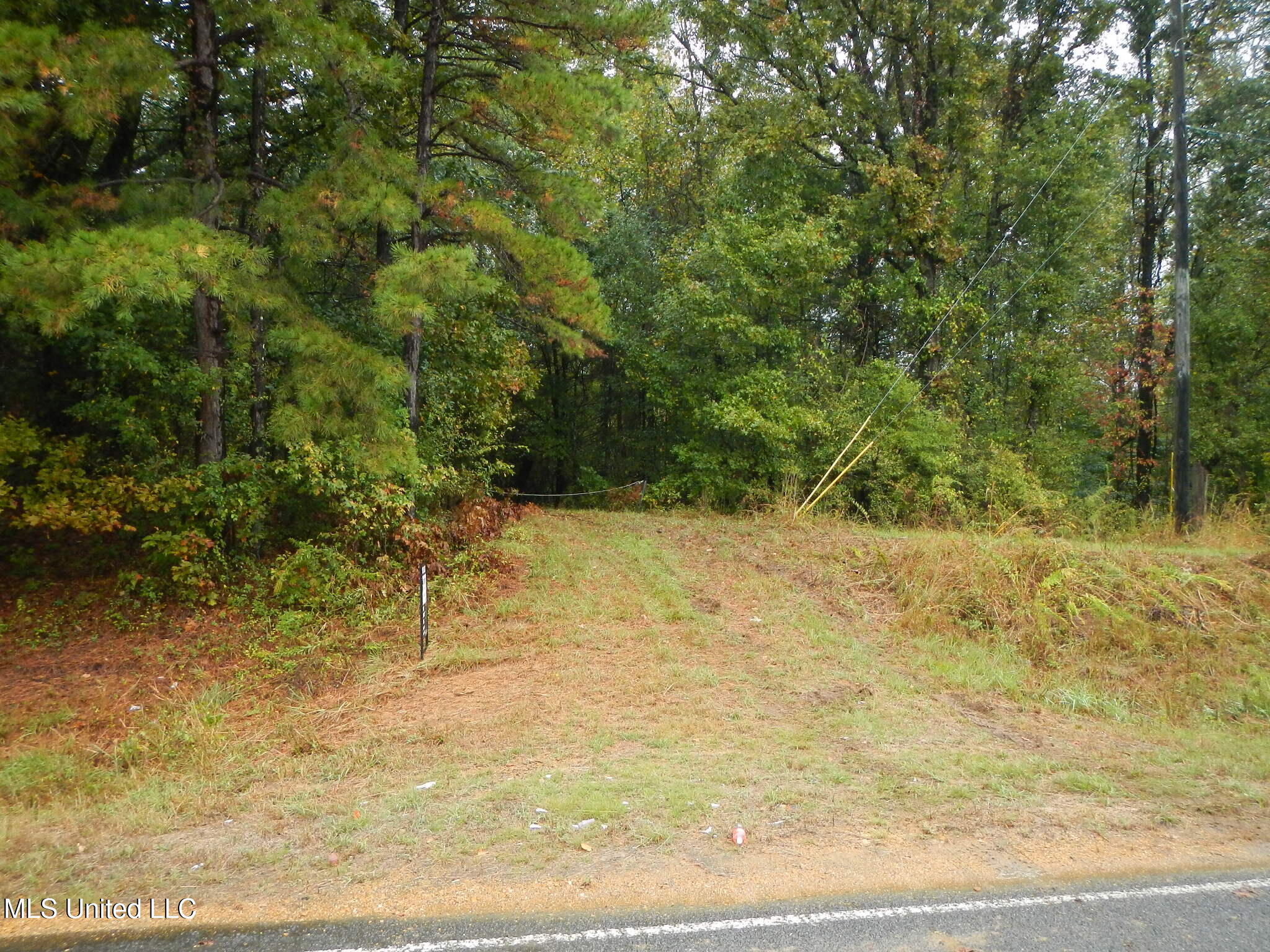 6977 Holly Grove-meeks Road Property Photo 10