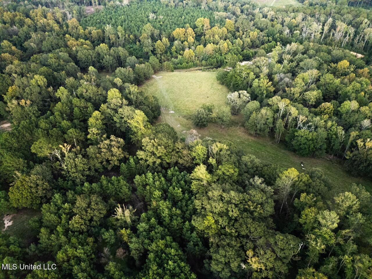 11342 E Highway 955 Property Photo 11