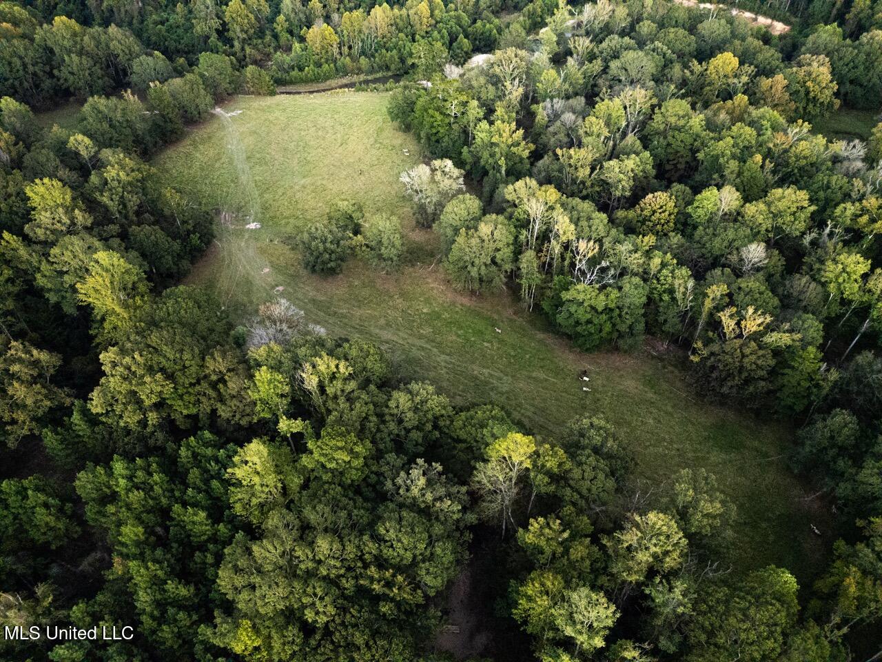 11342 E Highway 955 Property Photo 13