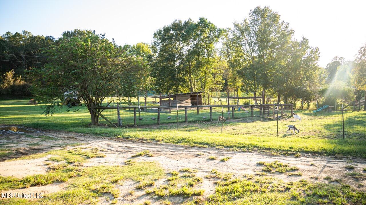 11342 E Highway 955 Property Photo 17