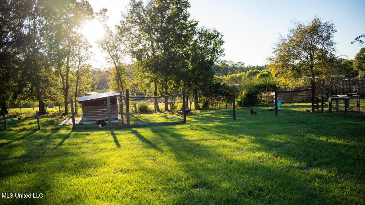 11342 E Highway 955 Property Photo 19