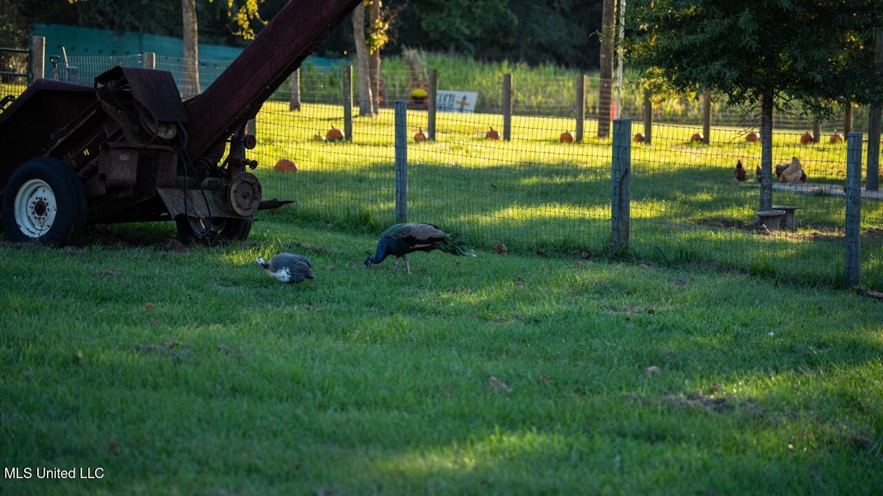 11342 E Highway 955 Property Photo 20