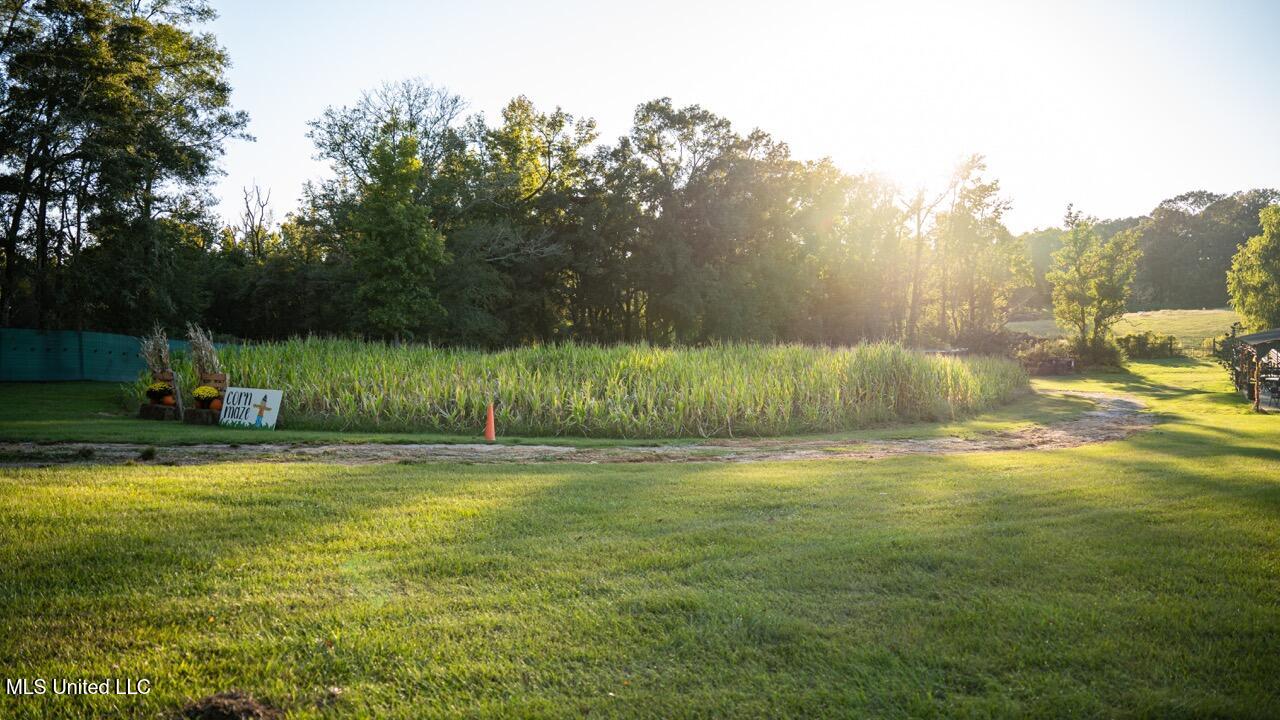 11342 E Highway 955 Property Photo 22