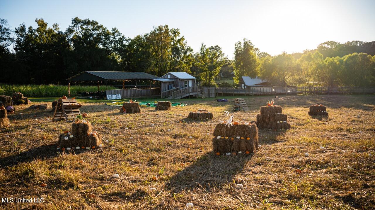 11342 E Highway 955 Property Photo 26