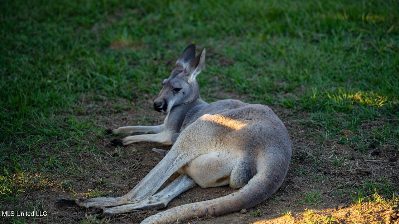 11342 E Highway 955 Property Photo 27