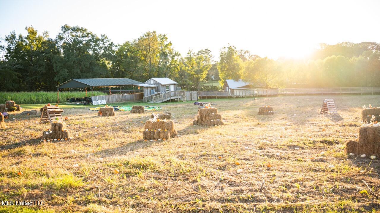 11342 E Highway 955 Property Photo 28