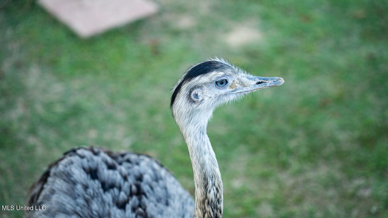 11342 E Highway 955 Property Photo 29