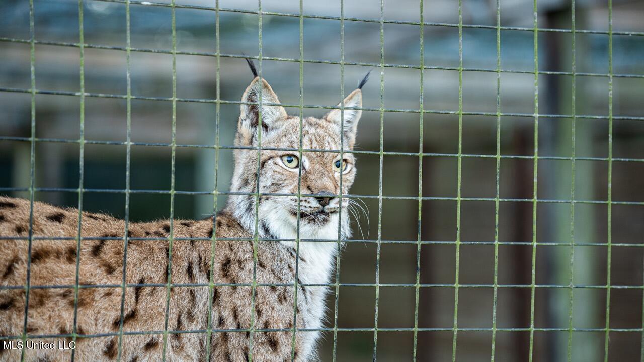 11342 E Highway 955 Property Photo 31