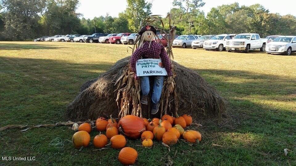 11342 E Highway 955 Property Photo 34