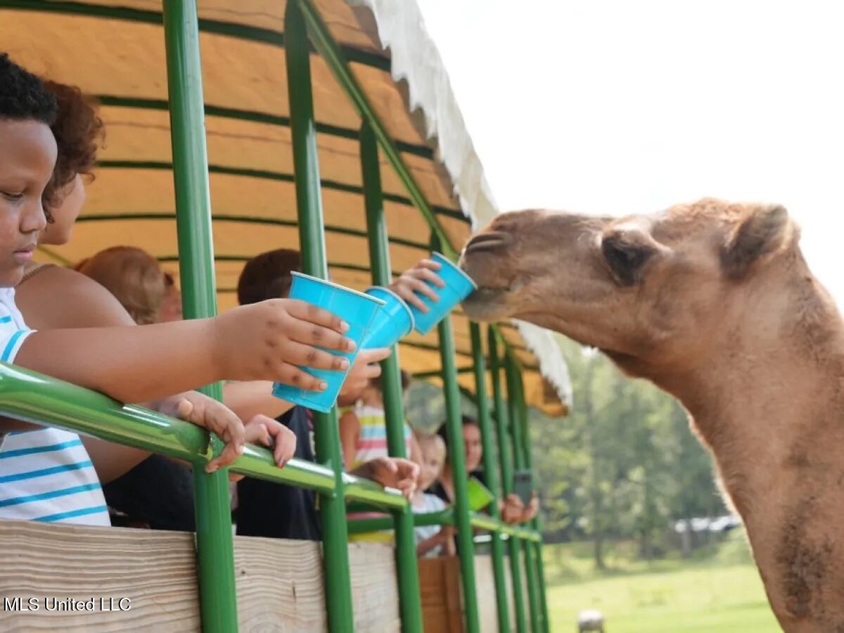 11342 E Highway 955 Property Photo 36