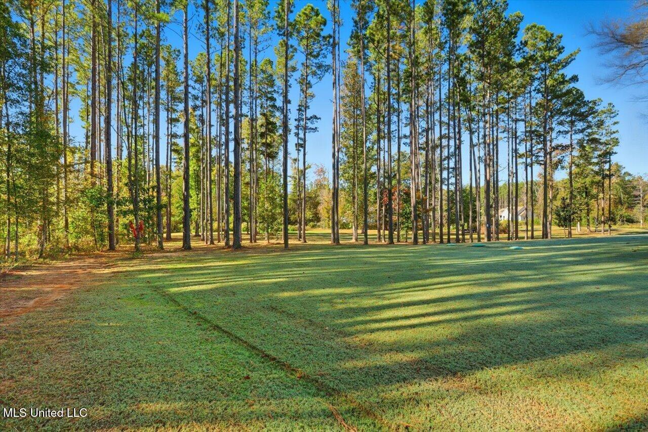 202 Lost Oak Lane Property Photo 43