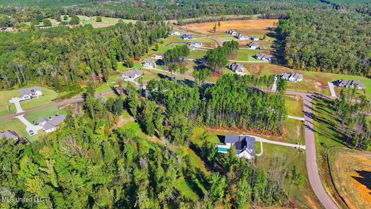 202 Lost Oak Lane Property Photo 66