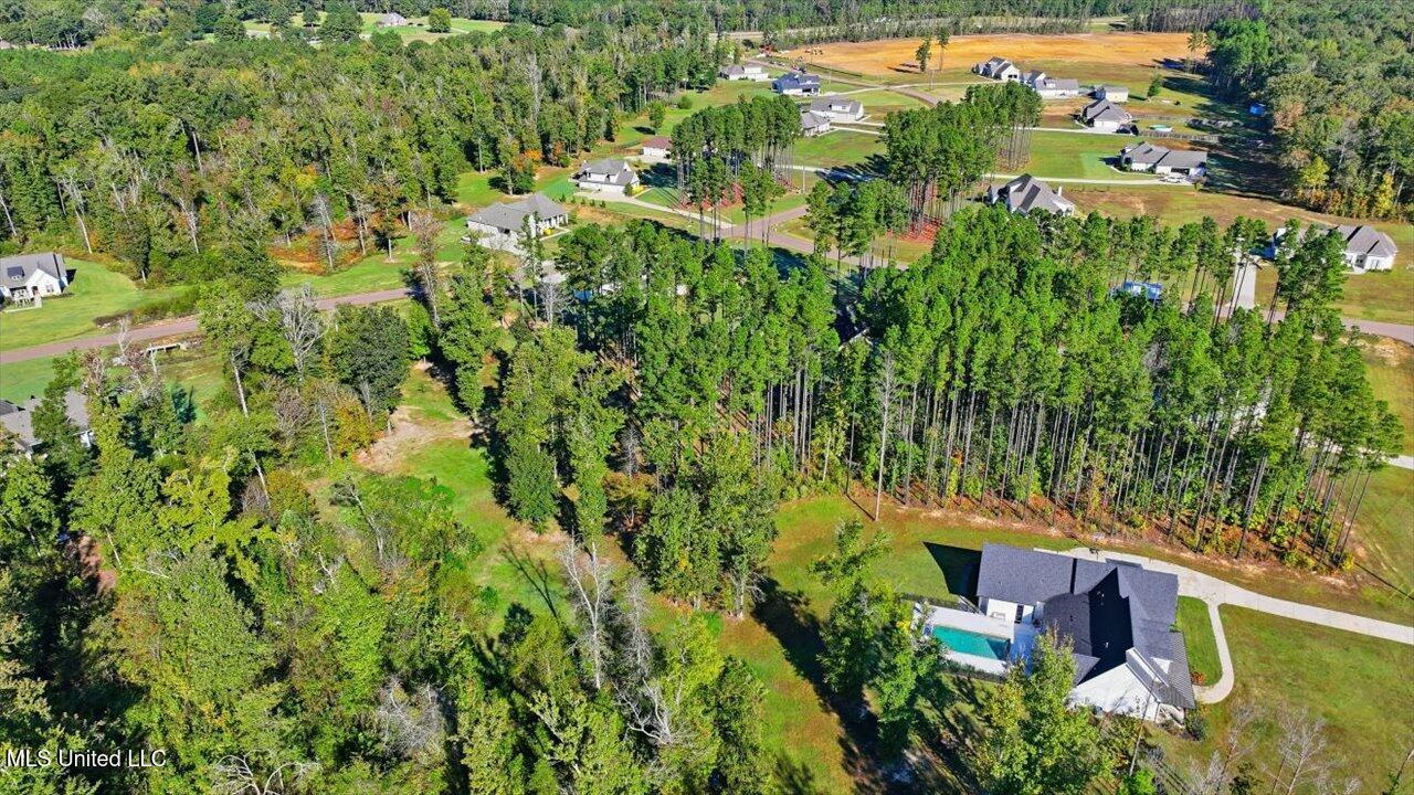 202 Lost Oak Lane Property Photo 67