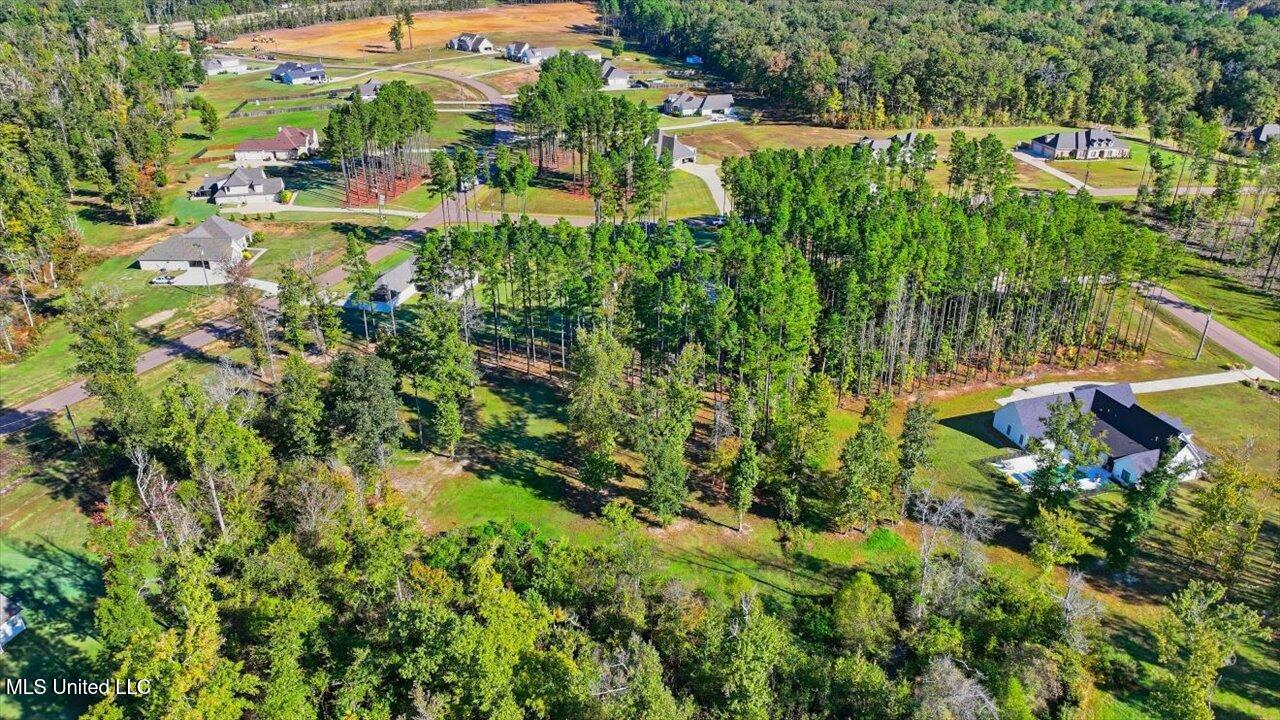 202 Lost Oak Lane Property Photo 68