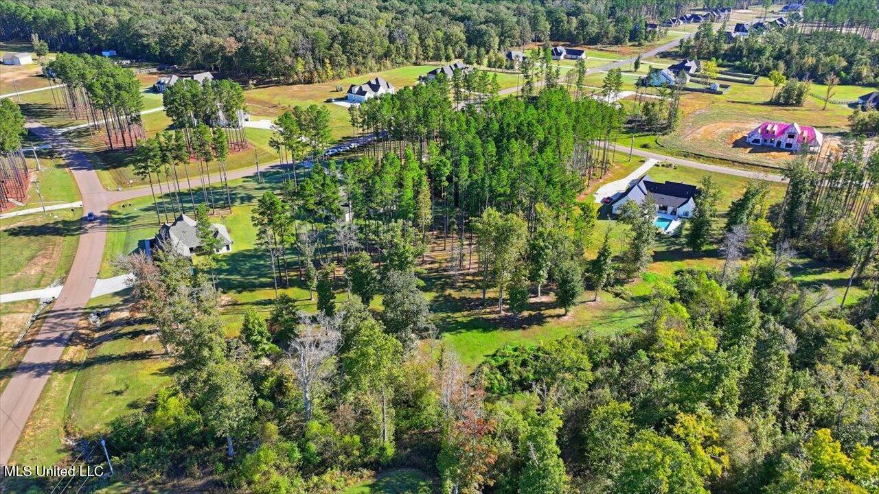 202 Lost Oak Lane Property Photo 69