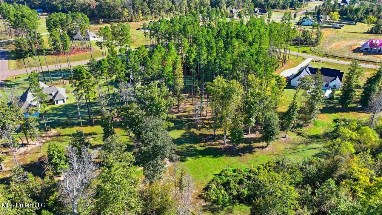 202 Lost Oak Lane Property Photo 70