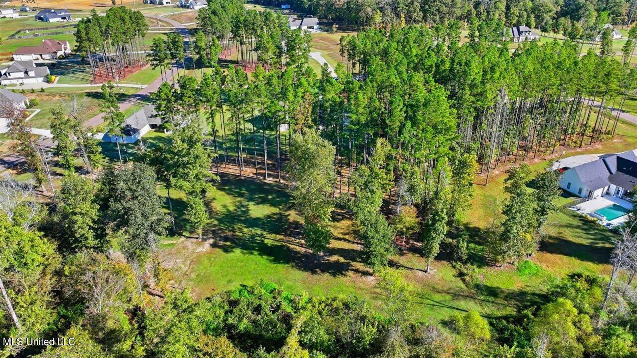 202 Lost Oak Lane Property Photo 71