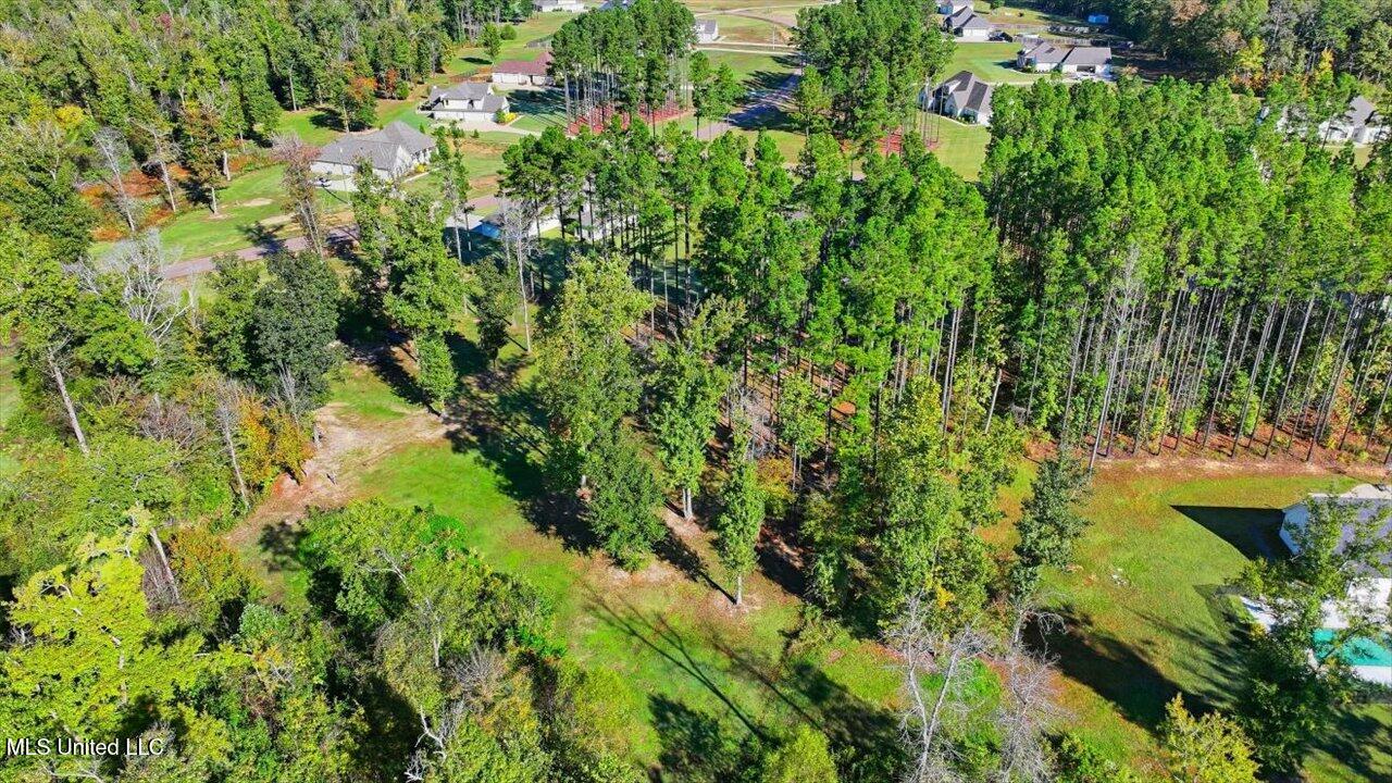 202 Lost Oak Lane Property Photo 72